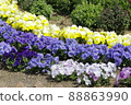 Beautiful flowerbed in the park 88863990