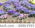Beautifully planted flowerbed 88863993