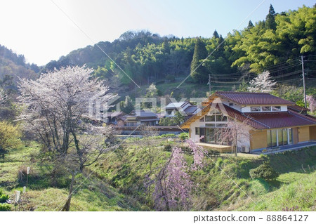 春天櫻花盛開的寧靜鄉村景觀 春天櫻花盛開的寧靜鄉村景觀 88864127