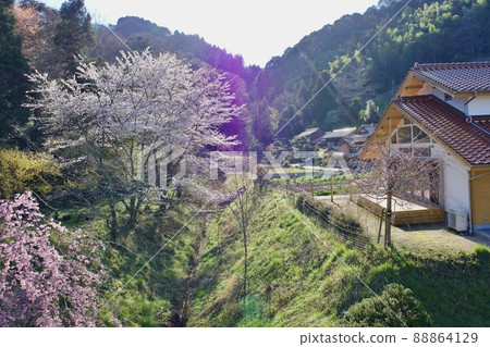 春天櫻花盛開的寧靜鄉村景觀 春天櫻花盛開的寧靜鄉村景觀 88864129