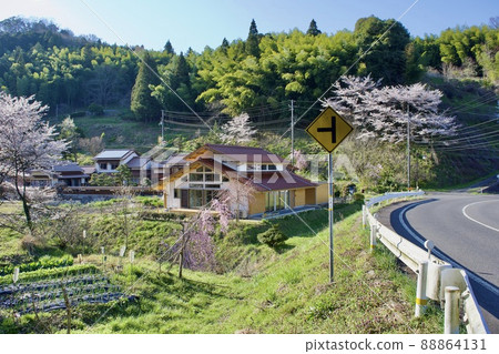 春天櫻花盛開的寧靜鄉村景觀 88864131