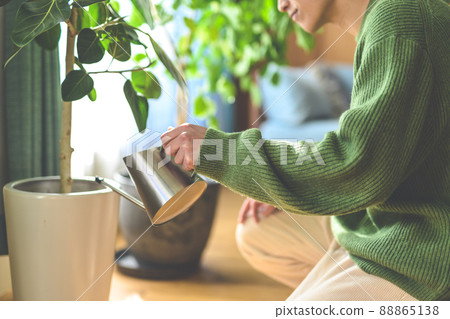foliage plant, watering plants, gents 88865138