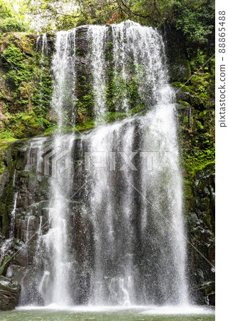 Fresh green cherry waterfall 88865488