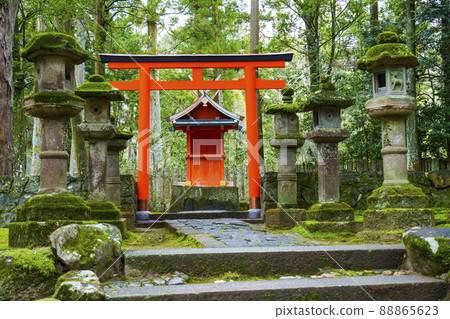 春日大社參道沿線的燕羽神社[奈良公園] 88865623