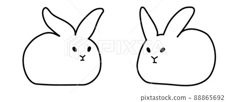 兩隻白兔(雙角兔,冬毛) 兩隻白兔(雙角兔,冬毛) 88865692