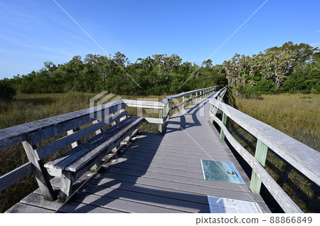Mahogany Hammock boardwalk in Everglades National Park, Florida. 88866849