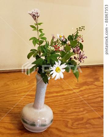 Ikebana Stock Photos Ikebana Stock Photos 88867353