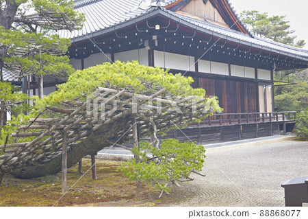 Sandpaper of Japanese garden 88868077