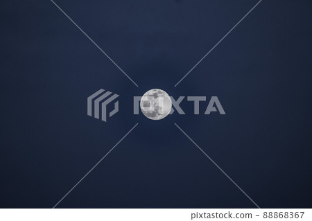 月 月 88868367