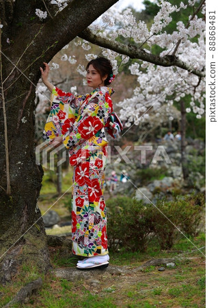 Cherry-blossom viewing in kimono 88868481