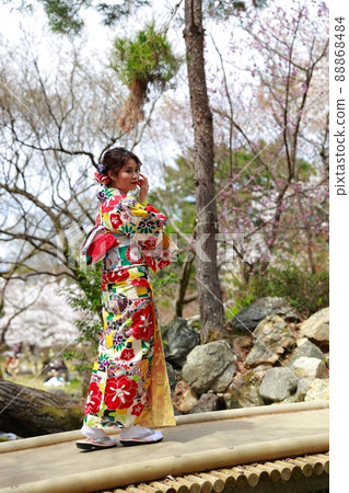 Cherry-blossom viewing in kimono Cherry-blossom viewing in kimono 88868484