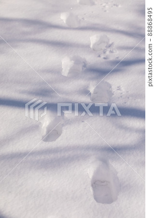 Snow scene Snow scene 88868495