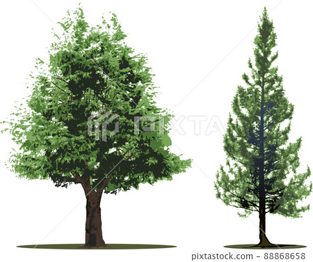 樹樹集 88868658