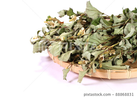 Dried Houttuynia cordata leaves 88868831