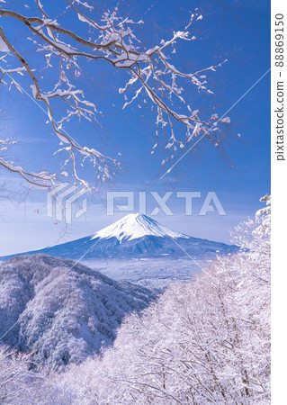 《山梨縣》富士山和樹上的霧rim ・日本的冬季風景 《山梨縣》富士山和樹上的霧rim ・日本的冬季風景 88869150