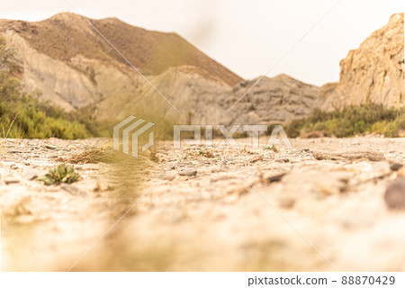 Plants growing on rough ground near mountains in desert Plants growing on rough ground near mountains in desert 88870429