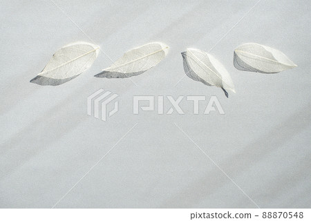 Decorative transparent white skeleton leaves border with shadows on white background. 88870548