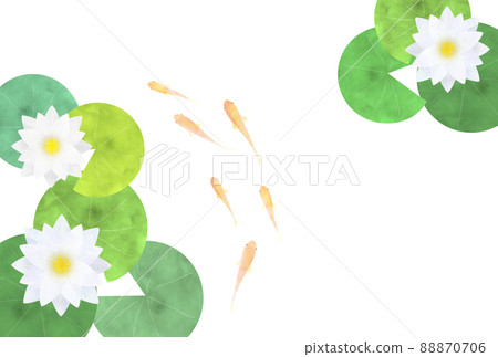 睡蓮和青香 88870706