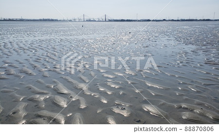 Fujimae tidal flat landscape of tidal flat 88870806