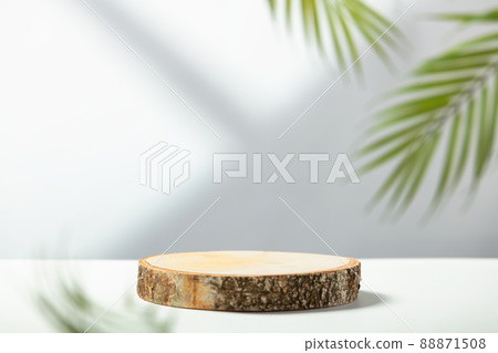 Wood slice podium and green tropical leaves. Concept scene stage showcase for new product, promotion sale, banner, presentation, cosmetic Wood slice podium and green tropical leaves. Concept scene stage showcase for new product, promotion sale, banner, presentation, cosmetic 88871508