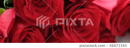 Closeup of large bouquet of red roses background 88871583