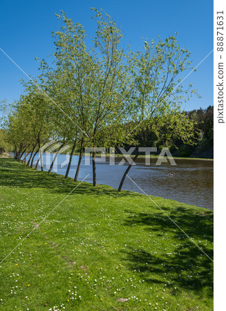 Amazing spring view on the Seret River coast, Ternopil region, Ukraine. Amazing spring view on the Seret River coast, Ternopil region, Ukraine. 88871631