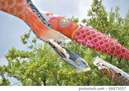 世田谷區烏內智達堀公園民香園的鯉魚旗和武士旗 88873057