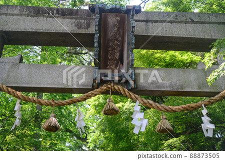 Anaorimiya 池田神社 Ishitorii-4 88873505