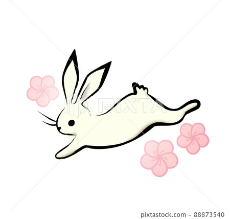 Rabbit plum Rabbit plum 88873540