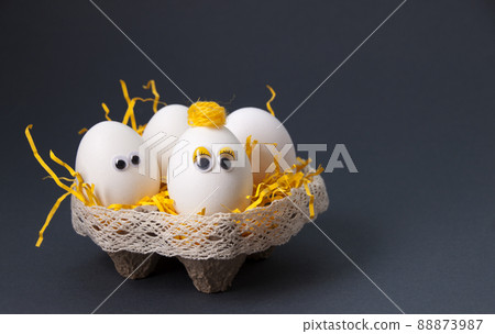 Eggs  in a stand on a dark background 88873987