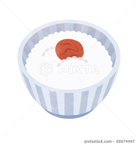 Illustration of dried plum rice Illustration of dried plum rice 88874497