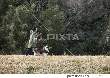 小學生遛狗秋/冬，早春形象 88874583
