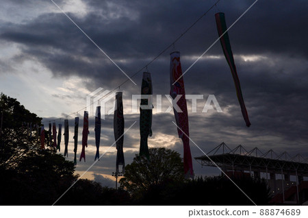 Carp streamer at Okura Sports Center in Setagaya Ward 88874689