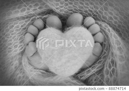 The tiny foot of a newborn baby. Soft feet of a new born in a wool blanket. Close up of toes, heels and feet of a newborn. Knitted heart in the legs of baby. Macro photography. Black and white. The tiny foot of a newborn baby. Soft feet of a new born in a wool blanket. Close up of toes, heels and feet of a newborn. Knitted heart in the legs of baby. Macro photography. Black and white. 88874714