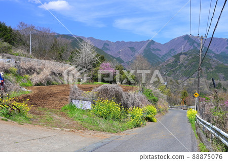 Village where you can see the Tanzawa Mountains << Hadano City >> Village where you can see the Tanzawa Mountains << Hadano City >> 88875076
