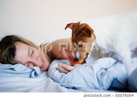 Woman lying in bed and playing with her dog, Lazy weekend, Morning relax Woman lying in bed and playing with her dog, Lazy weekend, Morning relax 88876004