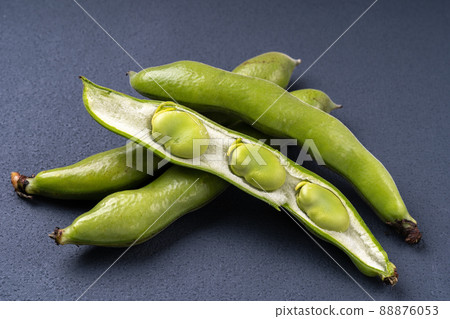 Broad beans Broad beans 88876053