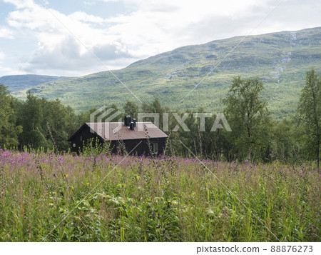 View of STF Tarrekaise Mountain cabin on a flowering meadow on the banks of the Tarra river, at Padjelantaleden hiking trail. Lapland summer landscape 88876273