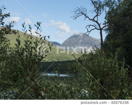 View over willow tree bush on wild Tarra river. Tarrajakka with grassy green hills and forest. Padjelantaleden hiking trail. Summer sunny day, blue sky Lapland, Sweden 88876286