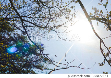 藍天太陽和凝結尾跡 藍天太陽和凝結尾跡 88877151