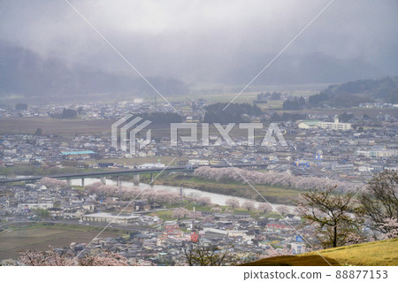 Hitome Senbonzakura, Shiraishi River on a rainy day, bird's-eye view, Shibata Town, Miyagi Prefecture Hitome Senbonzakura, Shiraishi River on a rainy day, bird's-eye view, Shibata Town, Miyagi Prefecture 88877153