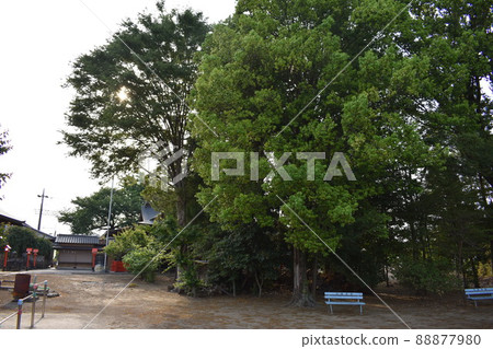 Kanto famous place Takaiwa Tenmangu, Saitama Prefecture Kanto famous place Takaiwa Tenmangu, Saitama Prefecture 88877980