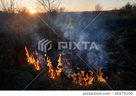 Burning dry grass and poison toxic sign. Yellow triangle with skull and crossbones sign warning about poisonous substances and danger in field with fire. Ecology, hazard, natural disaster concept. 88878100