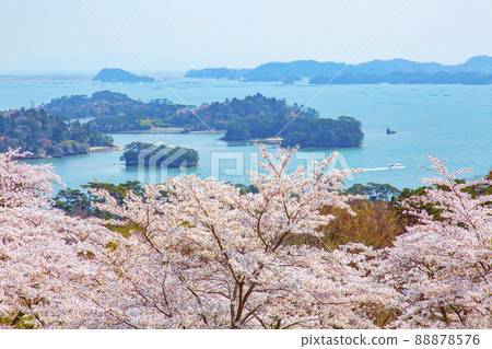 Matsushima Three Views of Japan: Cherry Blossoms at Matsu Park on the Westbound 88878576