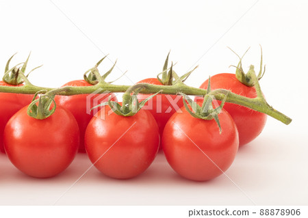 Amabo Ruby Mini Tomato Amabo Ruby Mini Tomato 88878906