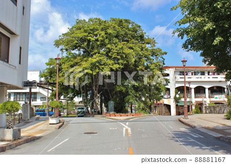 名護市興朋榕樹 名護市興朋榕樹 88881167