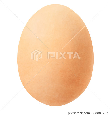 Egg 88881204