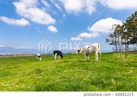 Akagi Kogen Ranch 2 88882225