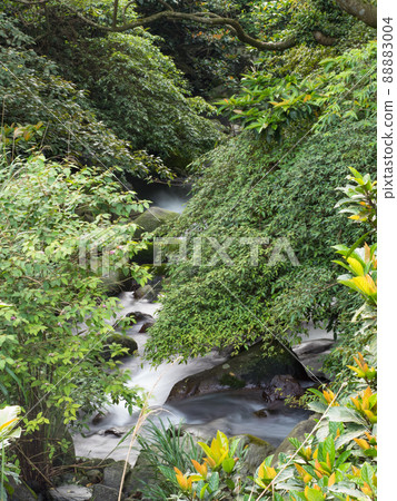 Green moss on stones on a river in the very green forrest with small waterfall. 88883004