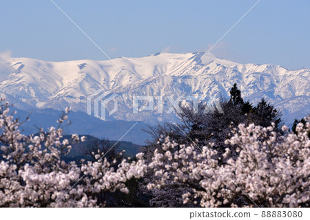 飯出山脈和櫻花 88883080